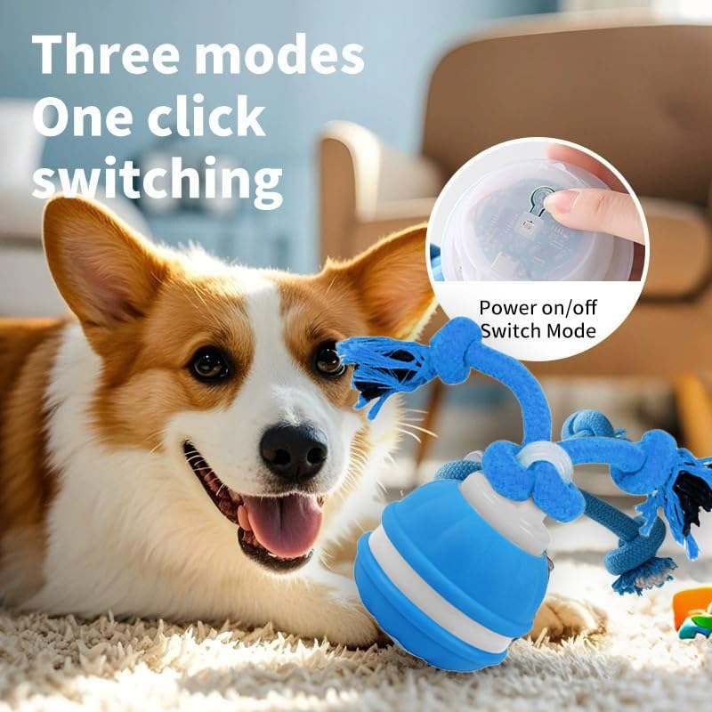 2pcs Paws Design Rechargeable Squeaky Rope Runner Dog Toy – Interactive Ball & Rope for Small Dogs