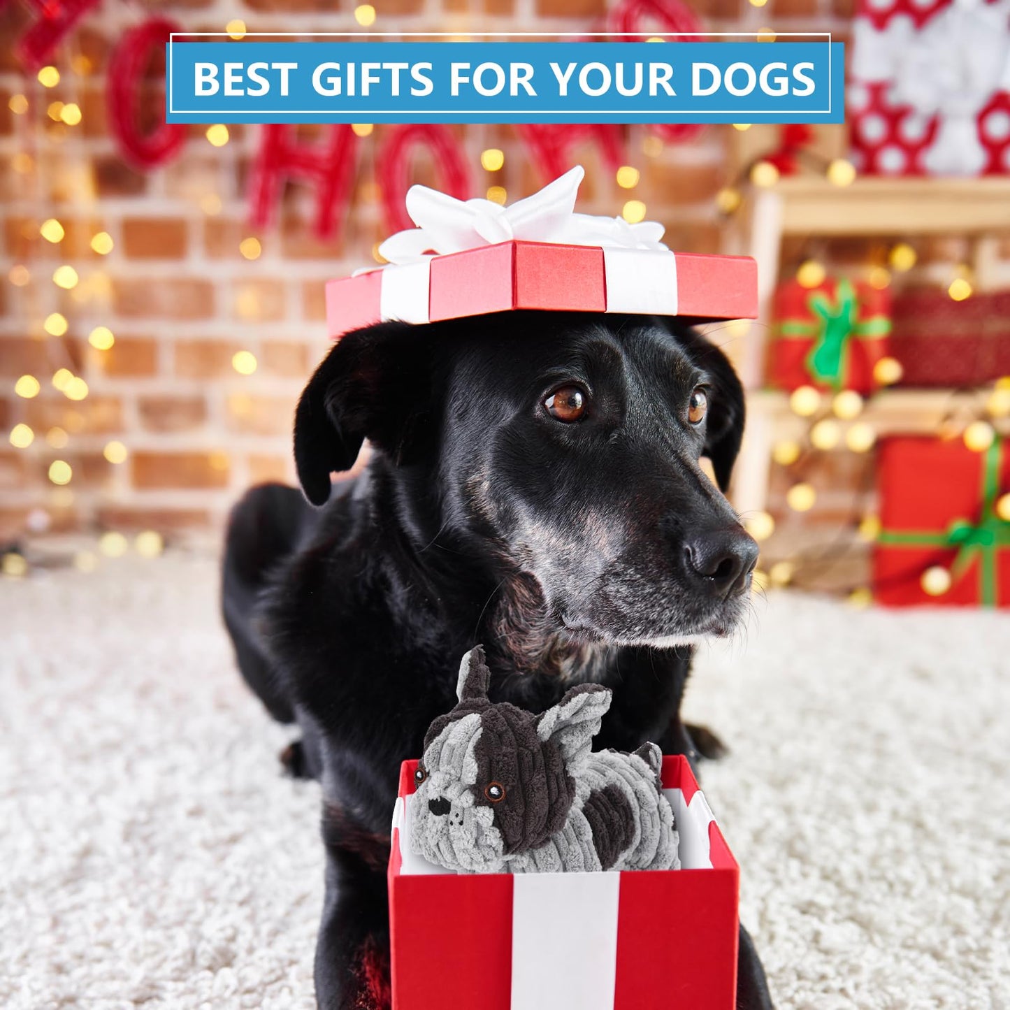 UltraChew 2.0 - Designed for Strong Chewers Dog Toys Plush Interactive Dog Toy with Crinkle Paper and Squeaker