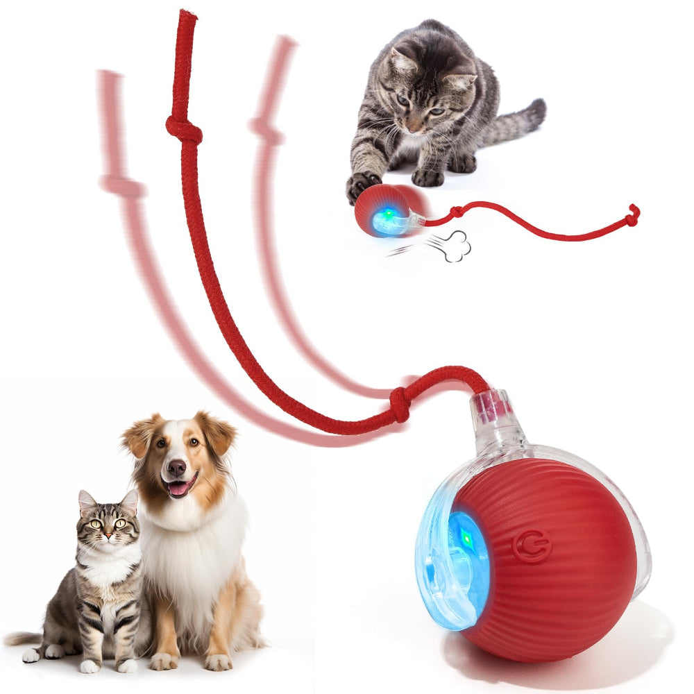 Pelota rodante inteligente para gatos