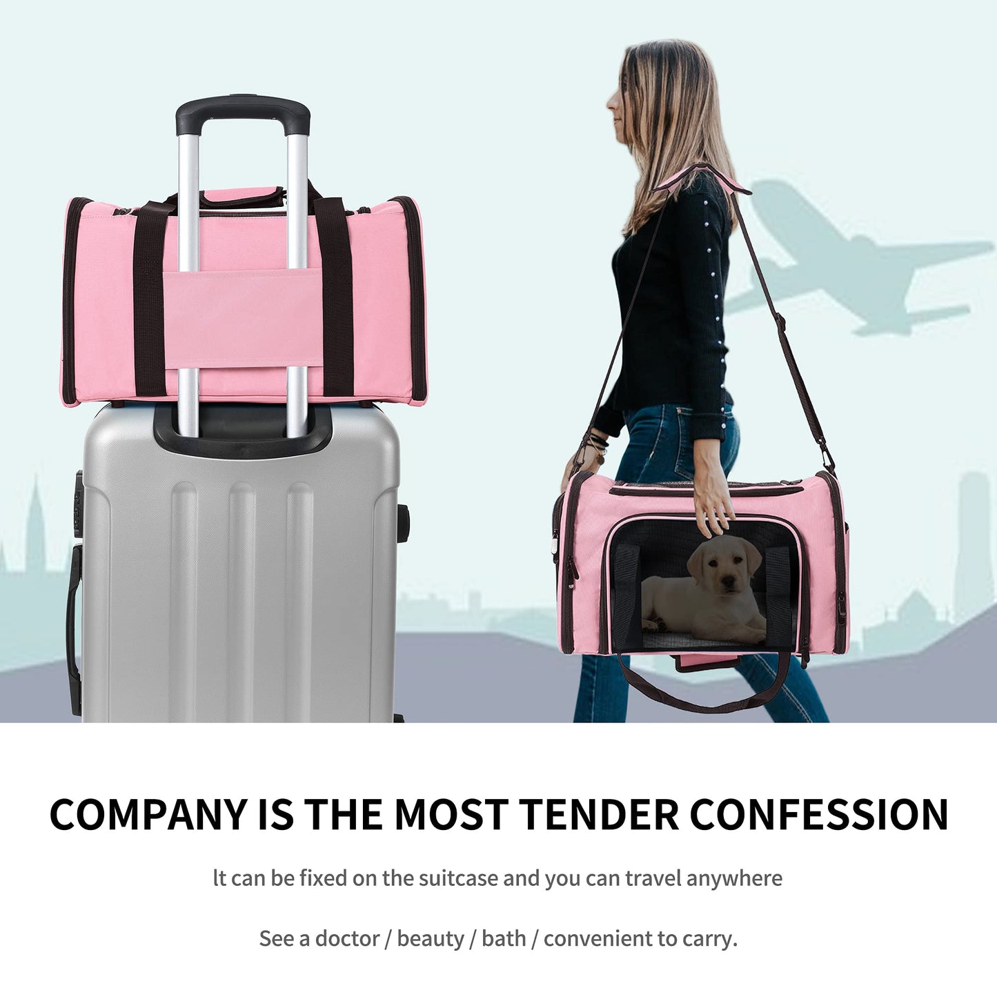 Outdoor Travel Pet Carrier, Kitty Puppy Cat Carriers, Collapsible Dog Carrier for Small Medium Dogs, Cat Crates w Breathable Mesh with Soft-Sided