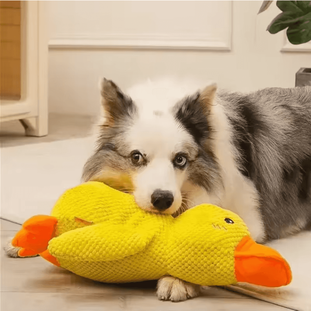Mellow Dog Calming Duck, The Mellow Dog Duck, Calming Duck Dog Toy, The Mellow Dog Calming Pillow, The Mellow Dog Calming Duck Dog Toy, Dog Duck Toy