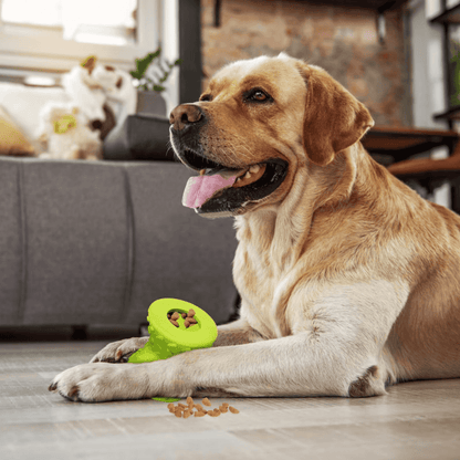 Natural Rubber Dog Chew Toy