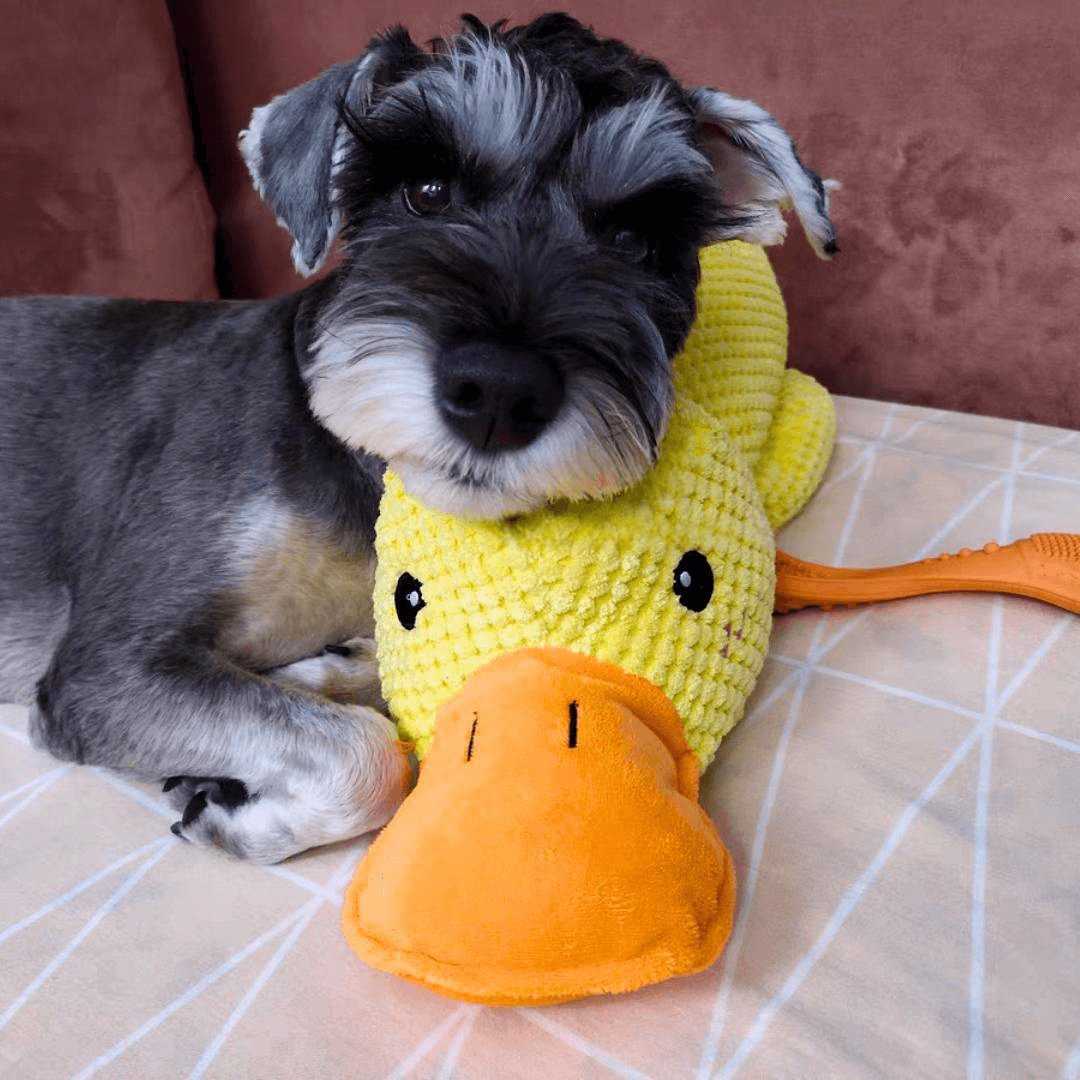 Durable Plush Carrot Dog Toy – Crinkle & Multi-Squeaks Calming Toy for All Breed Sizes