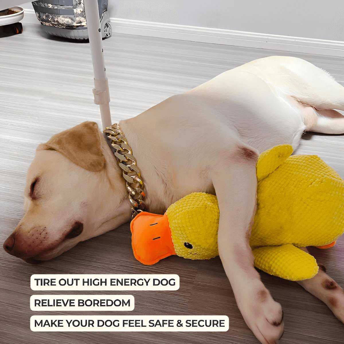 Durable Plush Carrot Dog Toy – Crinkle & Multi-Squeaks Calming Toy for All Breed Sizes