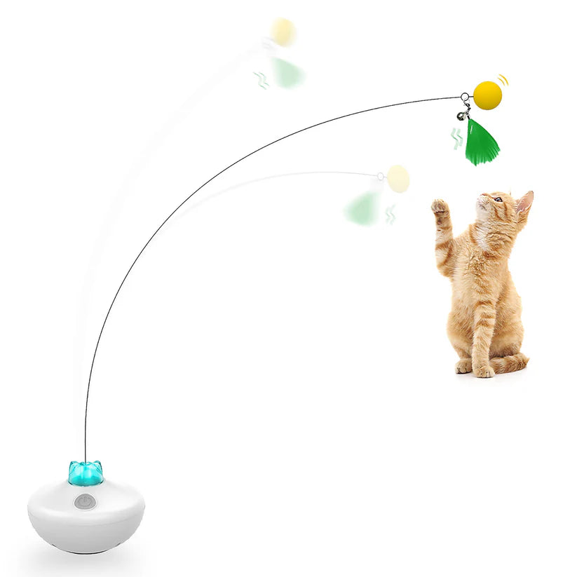 Interactive Rechargeable Cat Exercise Tumbler Toy