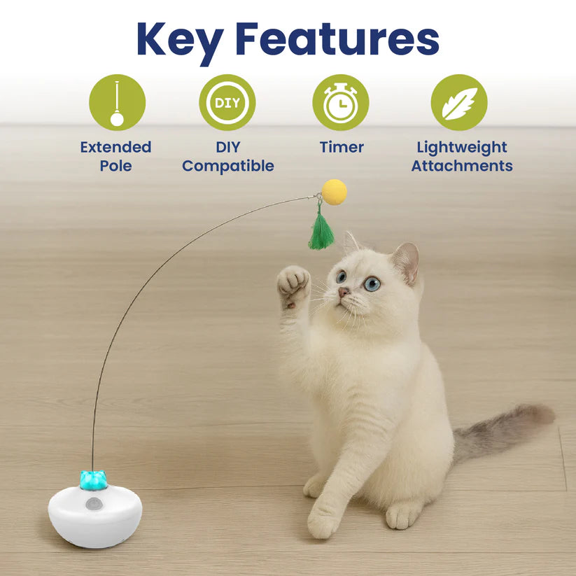 Interactive Rechargeable Cat Exercise Tumbler Toy
