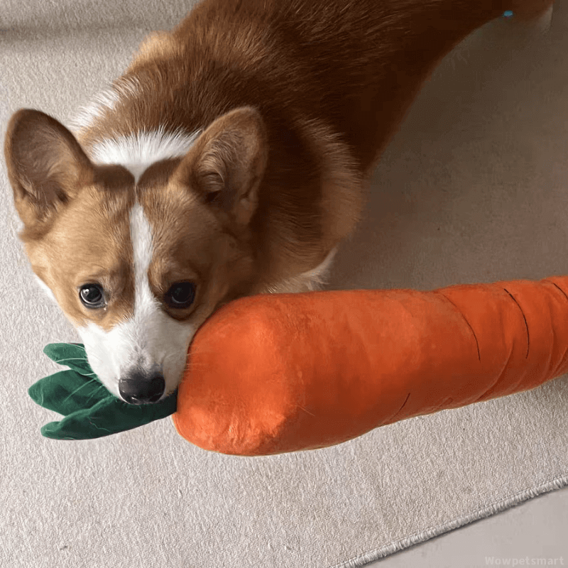 Durable Plush Carrot Dog Toy – Crinkle & Multi-Squeaks Calming Toy for All Breed Sizes