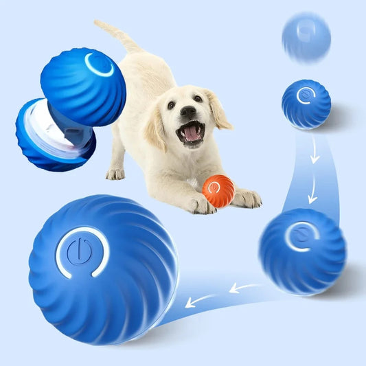 Wicked Ball Interactive Dog Toy - Automatic Moving, Bouncing & Rotating - USB Rechargeable for Puppy/Small/Medium Dogs - Blue