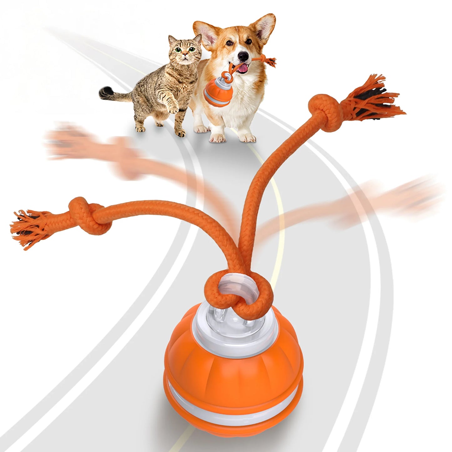 2pcs Paws Design Interactive Squeaky Rechargeable Rope Runner Dog Ball & Rope Toy for Small Dogs