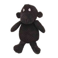 Chimpanzee
