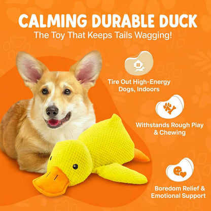 Calming Duck Plush Toy for Dogs