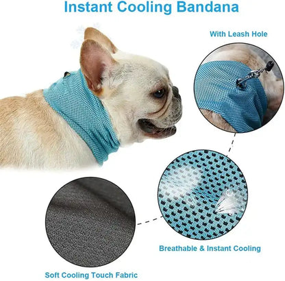 Dog wearing Cooling Bandana with close-up of breathable fabric and leash hole, best cooling bandana for dogs in hot weather.