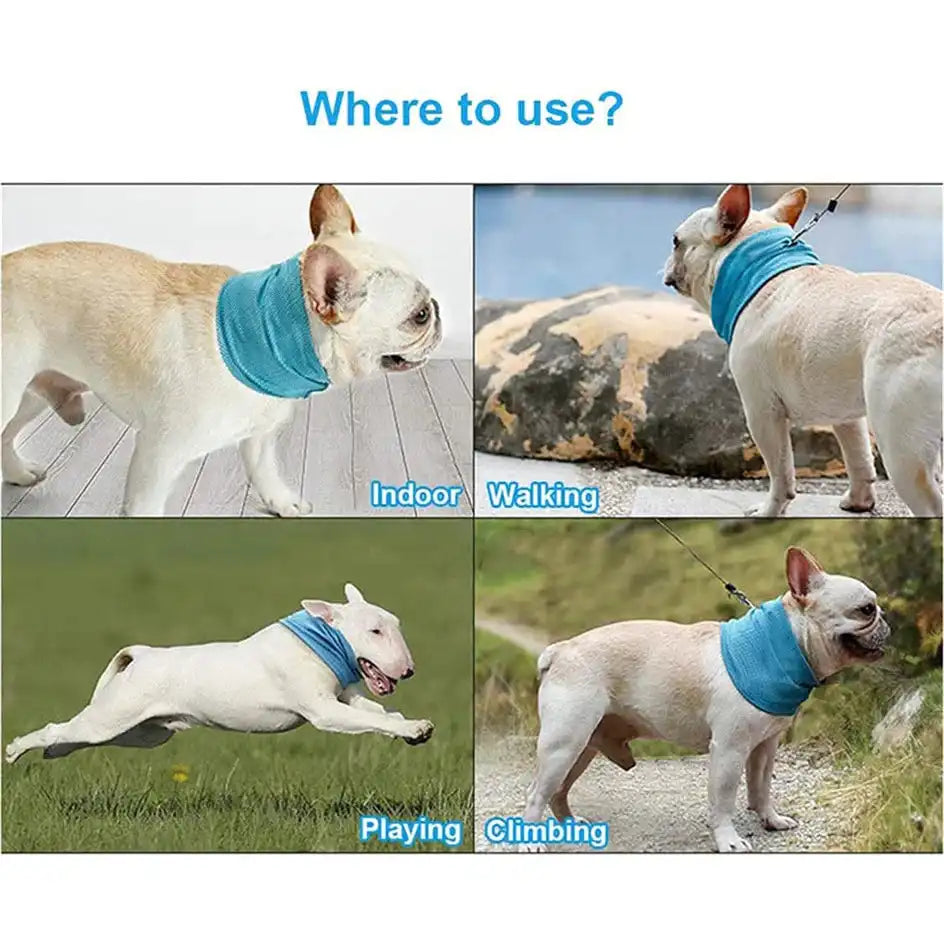 Dogs wearing Cooling Bandanas in various outdoor and indoor settings like walking, playing, and climbing for heat relief.