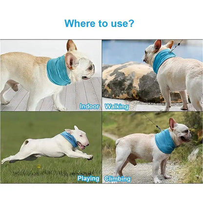 Dogs wearing Cooling Bandanas in various outdoor and indoor settings like walking, playing, and climbing for heat relief.