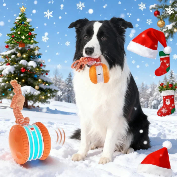 2026 Automatic Electric Rolling Ball with Rope, Motion-Activated Play, Random Movement, Rechargeable